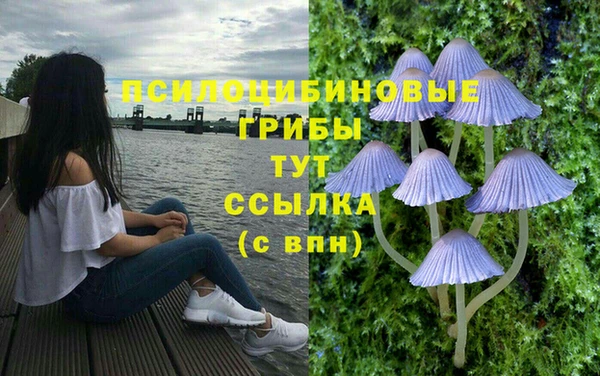 сатива Балахна