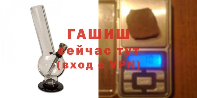 сатива Балахна