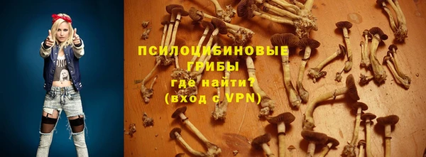гидра Балабаново