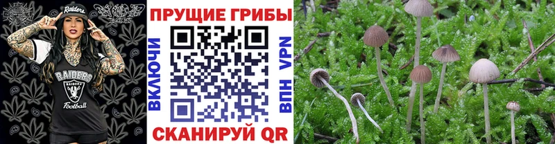 МЕГА вход где можно купить darknet Telegram Псилоцибиновые грибы мухоморы Усинск